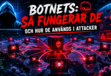 Hur fungerar ett botnet – och hur används det i attacker?