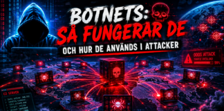 Hur fungerar ett botnet – och hur används det i attacker?