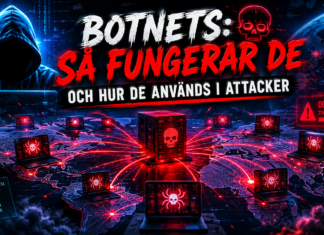 Hur fungerar ett botnet – och hur används det i attacker?