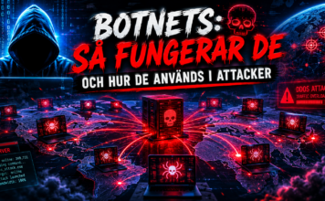Hur fungerar ett botnet – och hur används det i attacker?